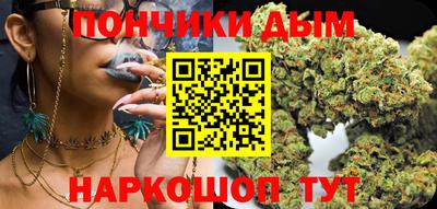 гидра Краснознаменск
