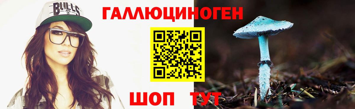 Псилоцибиновые грибы GOLDEN TEACHER Комсомольск-на-Амуре